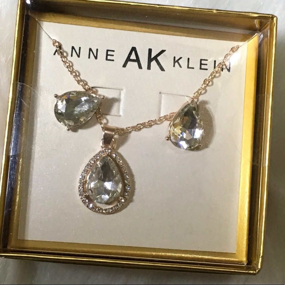 NWOT Anne Klein beautiful pendant set 💗